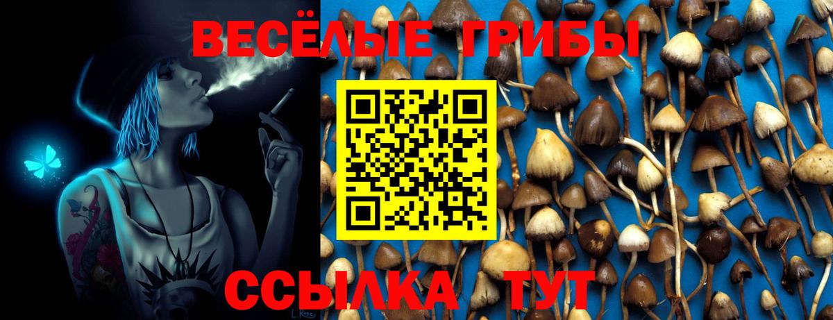Галлюциногенные грибы Cubensis Химки