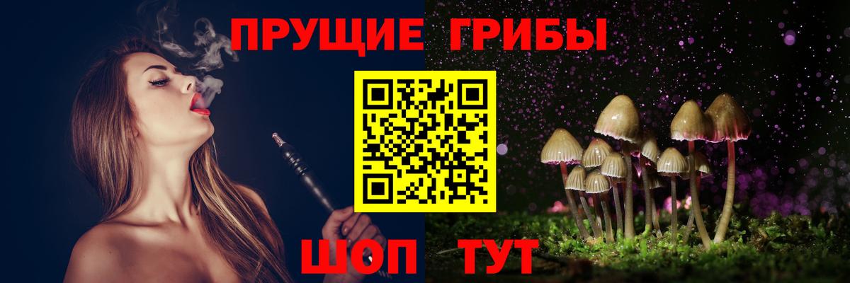 Псилоцибиновые грибы Cubensis  Псилоцибиновые грибы Cubensis  Вход с VPN  Химки 